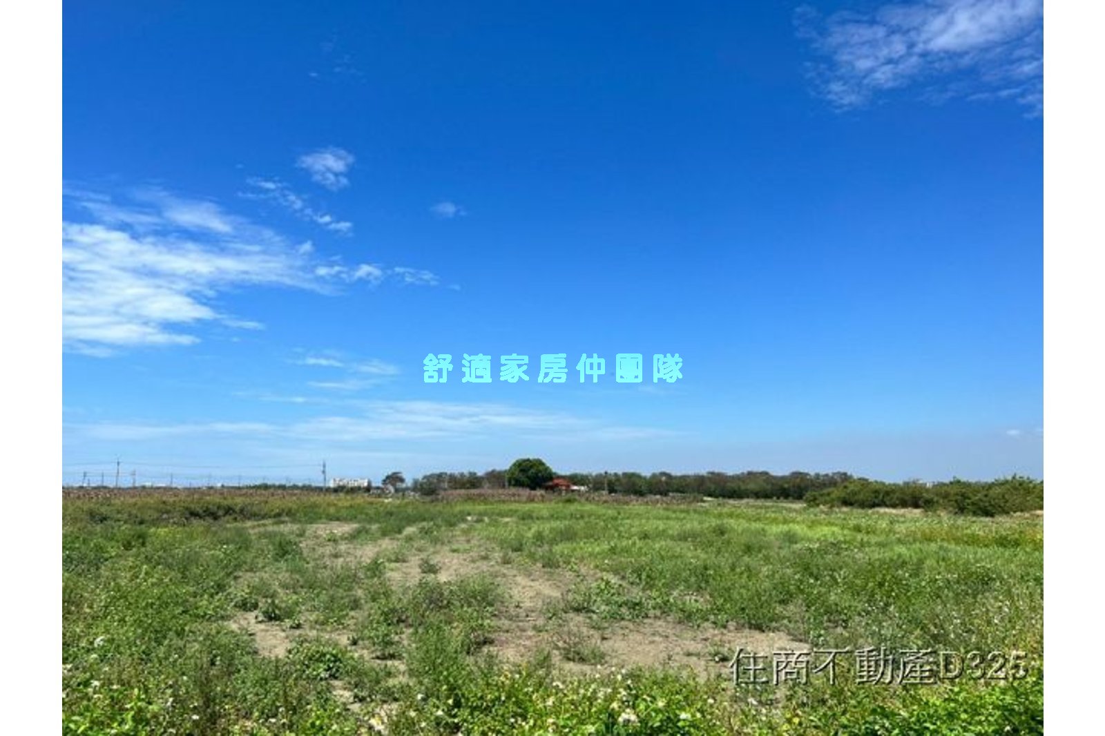 佳里近成功路大面寬農地