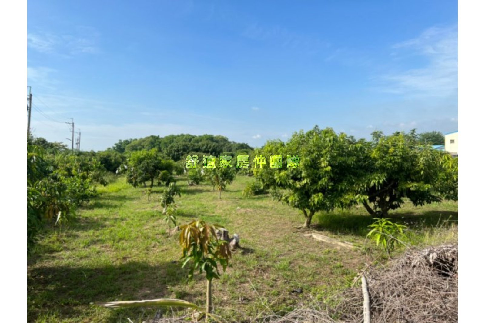 官田工業旁1405都內農地