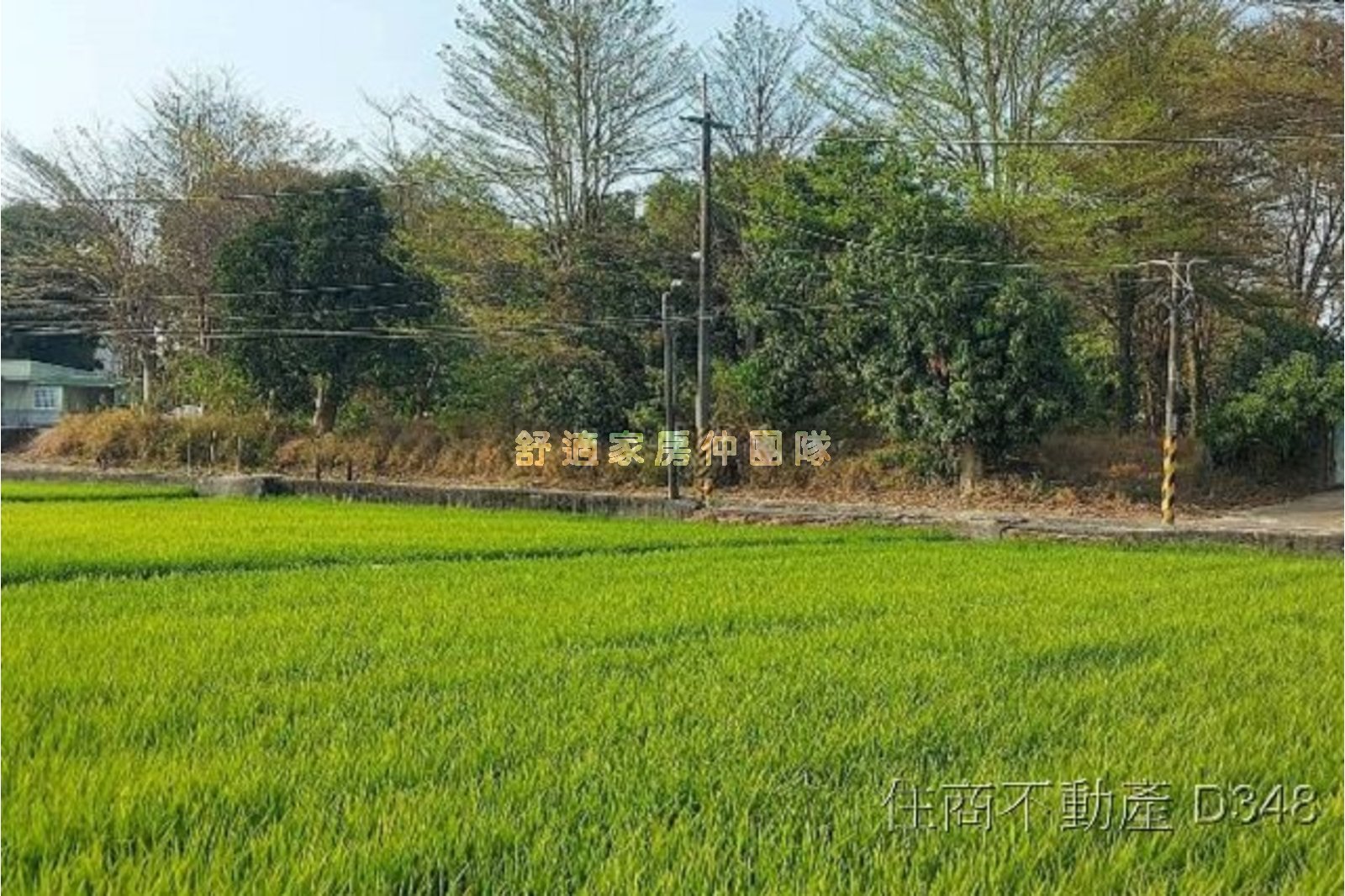 歸仁長照建地