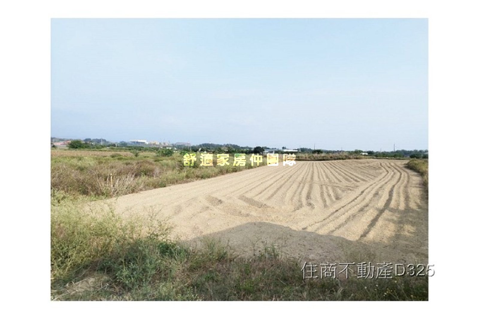 東大社1098美農地