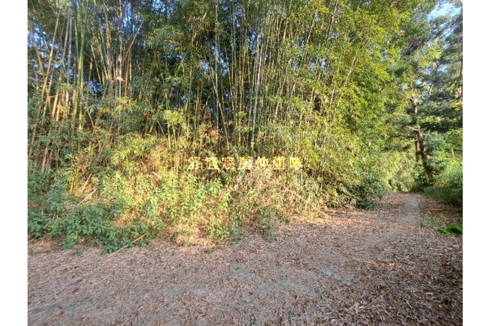 近關廟森林步道3.8分農地