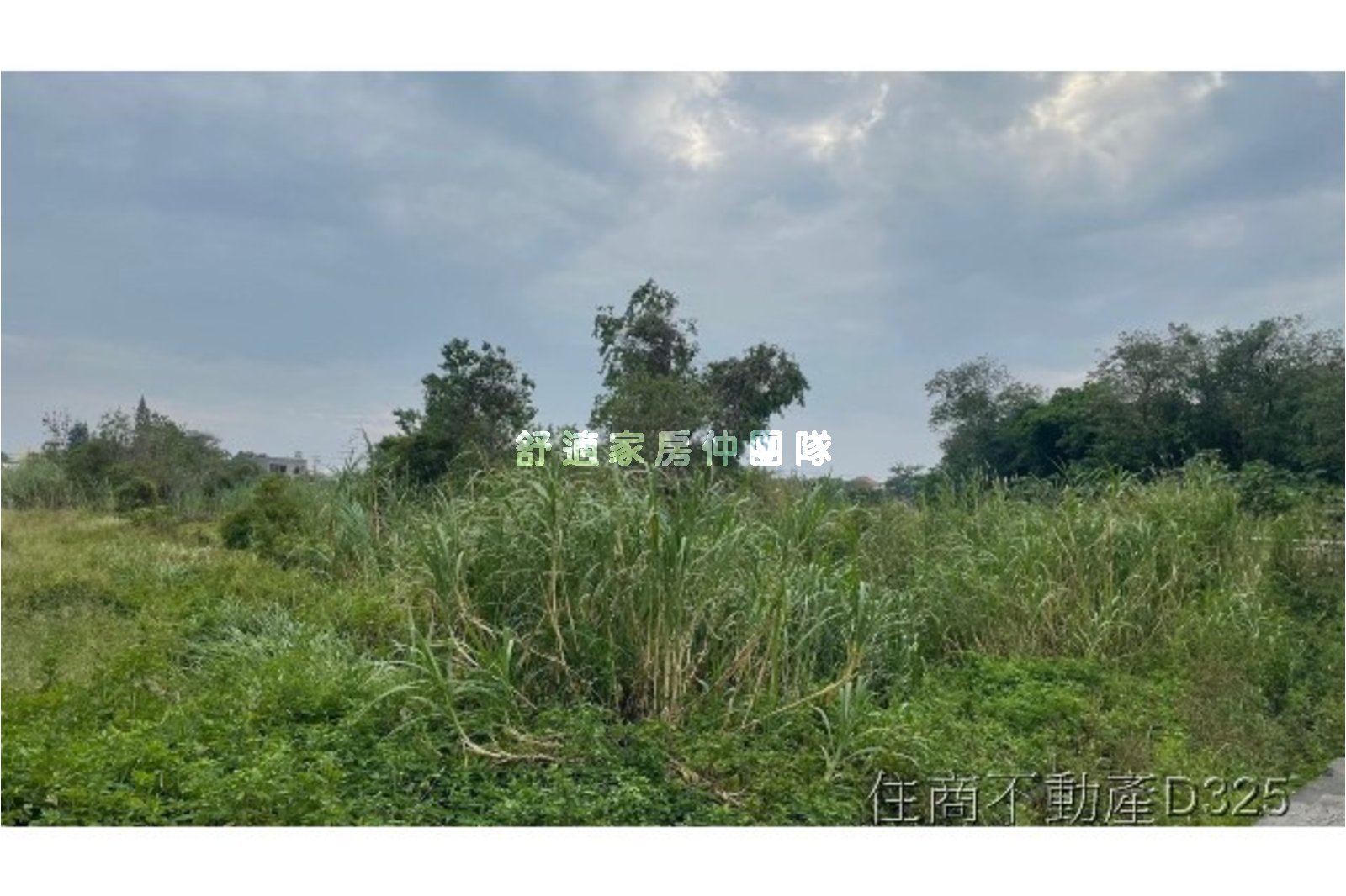 嘉義新港投資建地