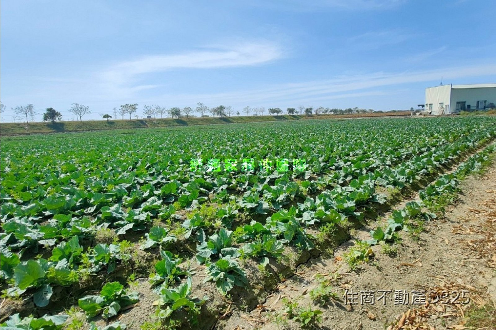 仁德中洲有水有電方正農地