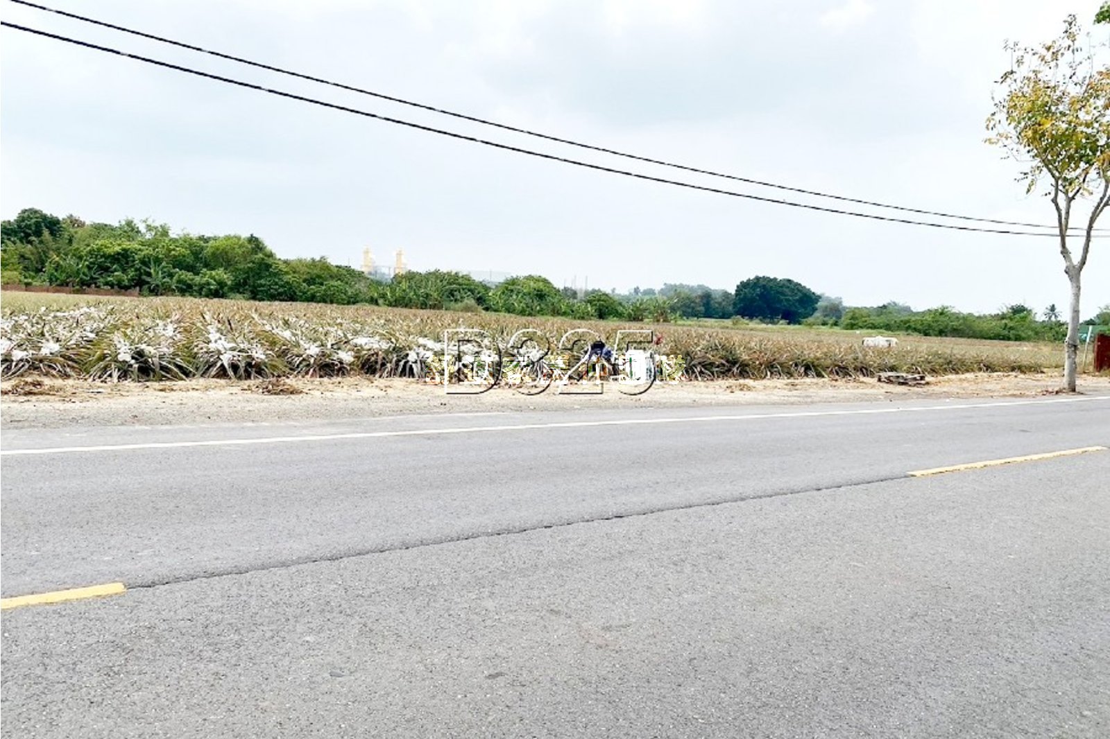 山上水道博物館20米路一般農地