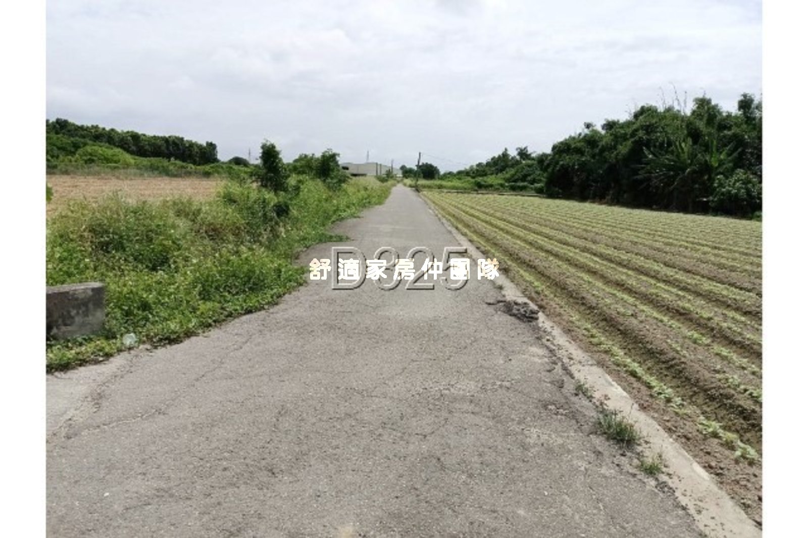 佳里近北門高中大面寬美農地