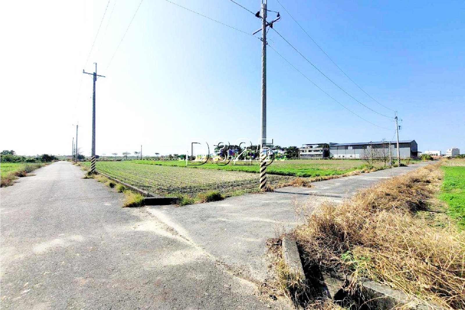 七股雙臨路方正美農地