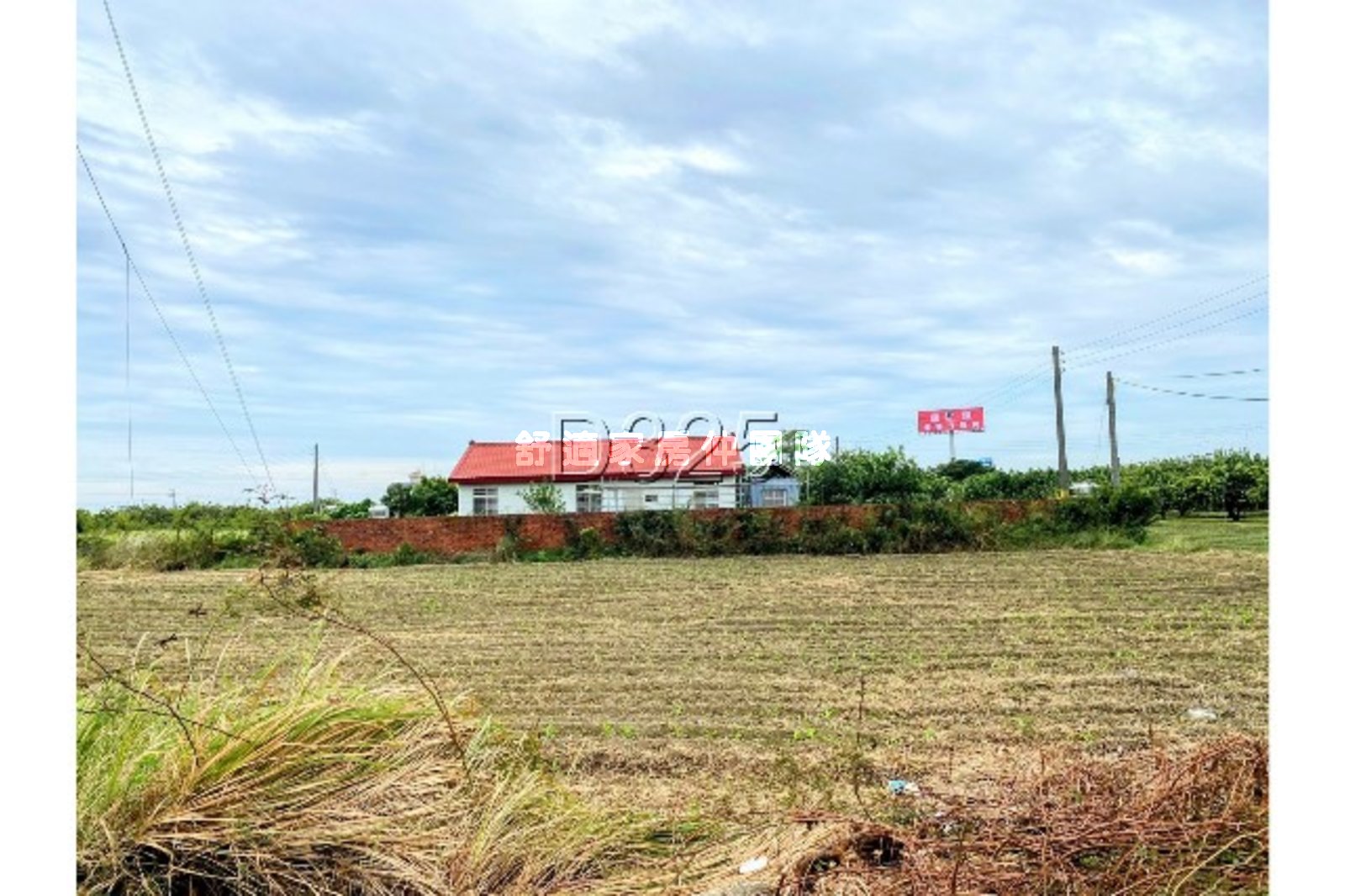 麻豆新樓醫院10米都內農地