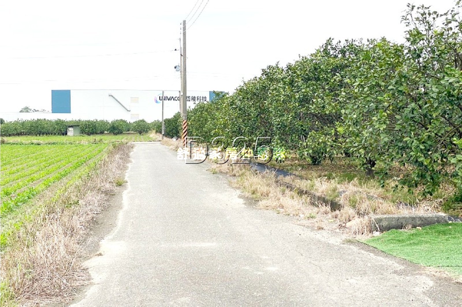 麻豆柚子園6米路都內農地