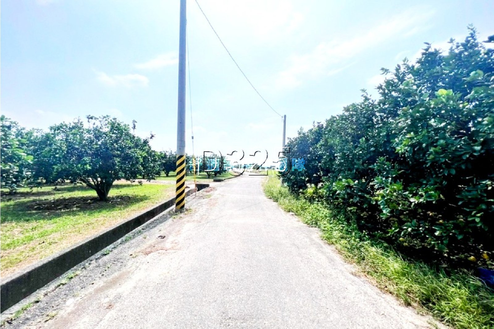 麻豆△窗大面寬71米都農