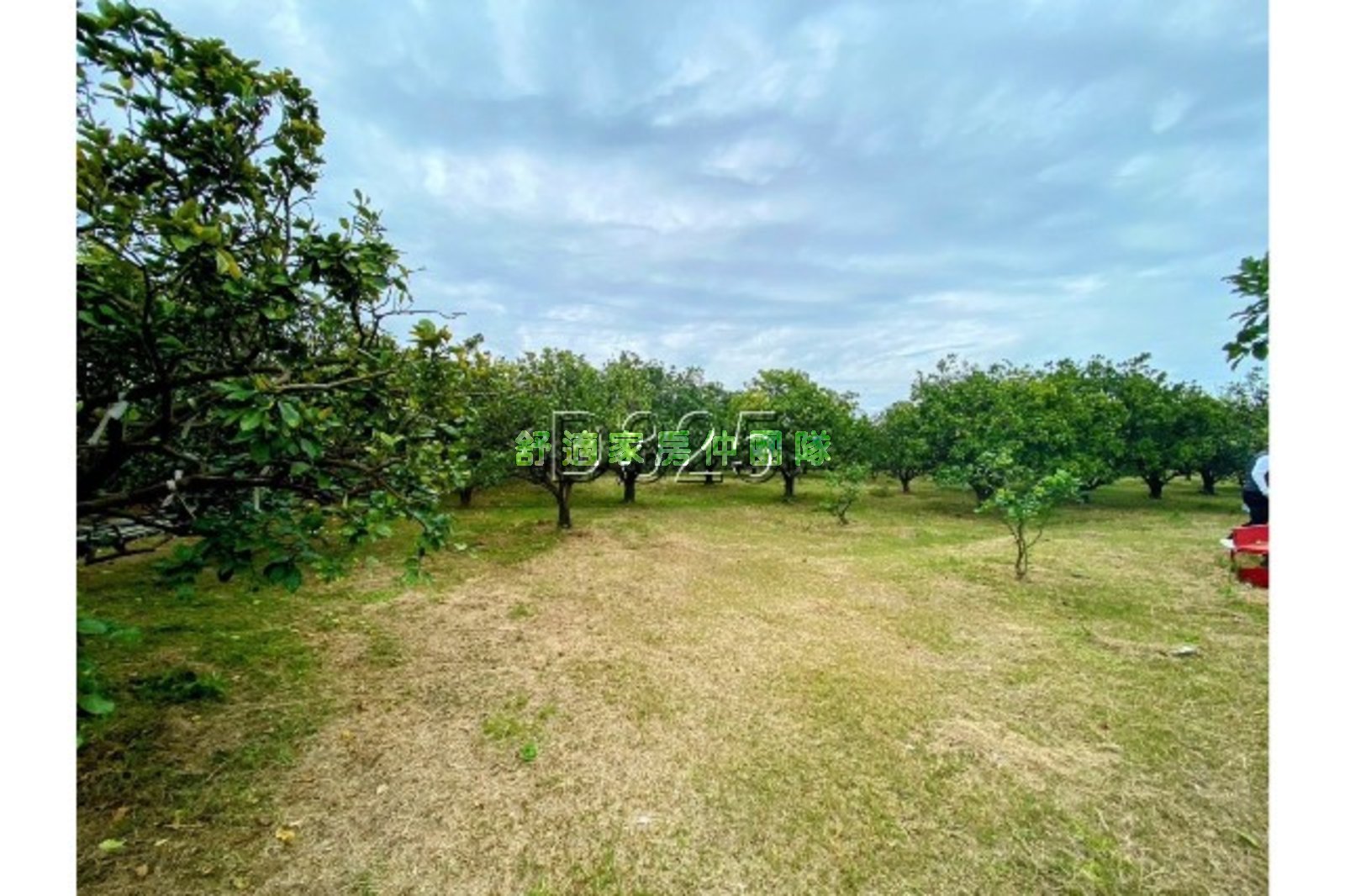 黎明中學有水有電都內農地