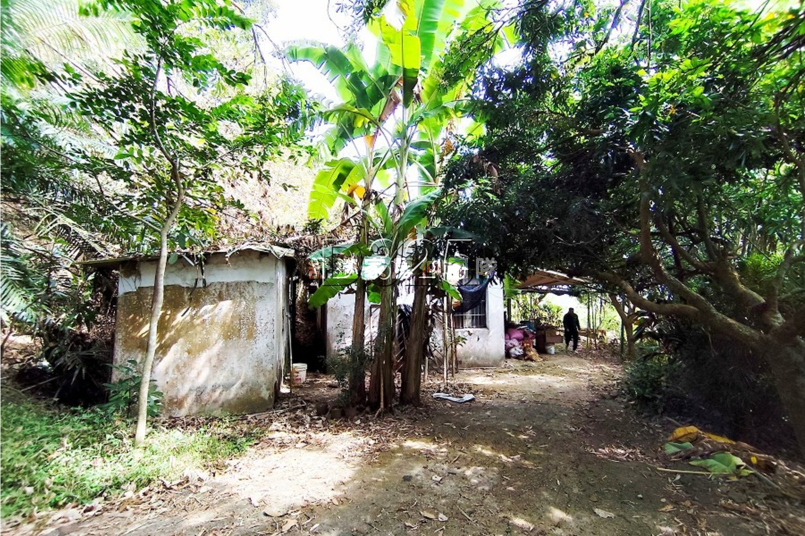 中興林場5.58甲山坡地