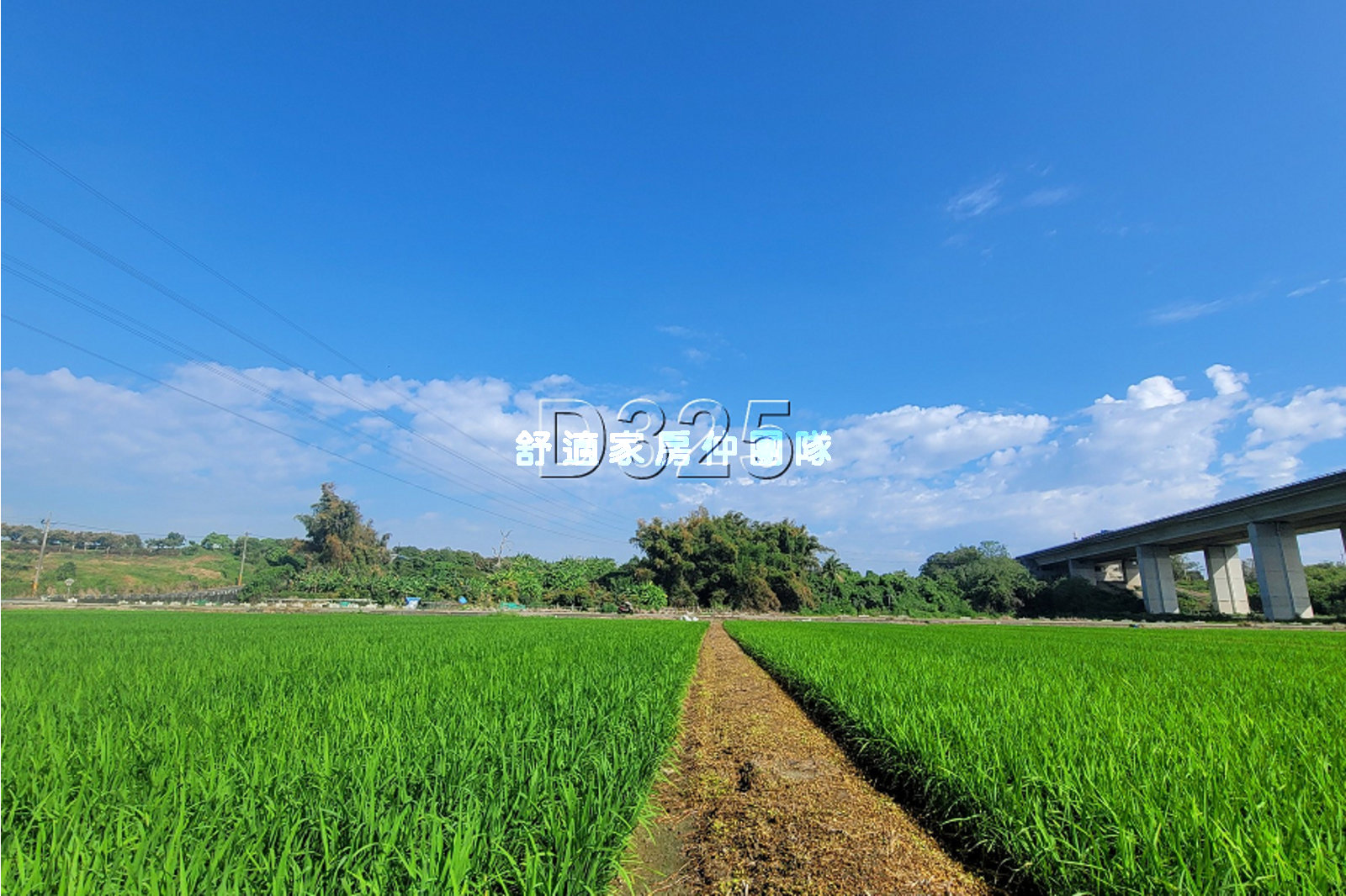 官田都內農保優美農地