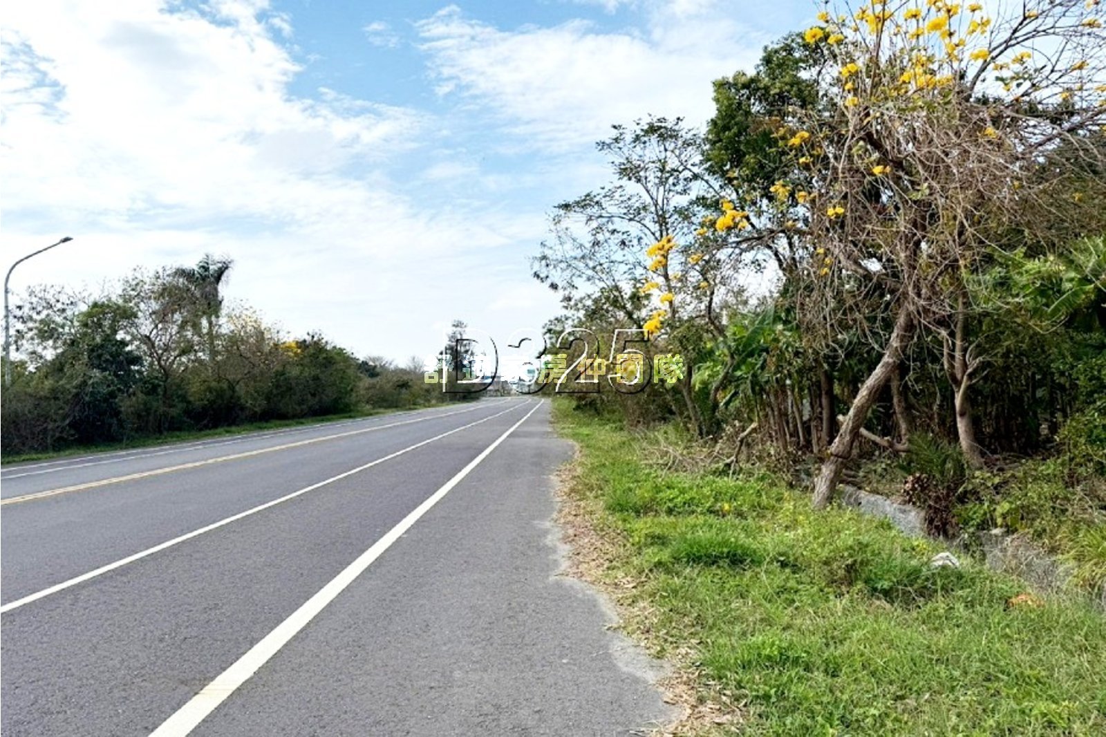 七股區20米路3.1分農地