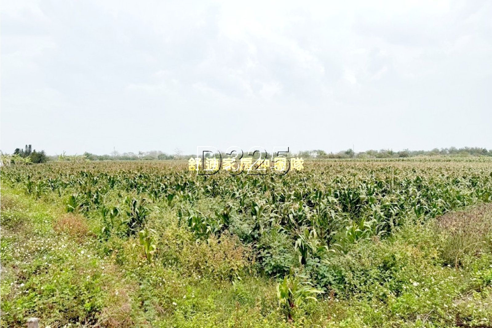 將軍區苓子寮段835坪農地