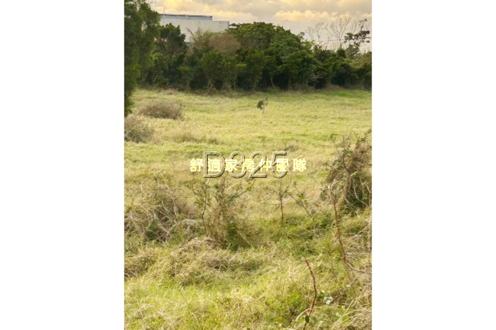 恆春鎮頂水泉段便宜農地C