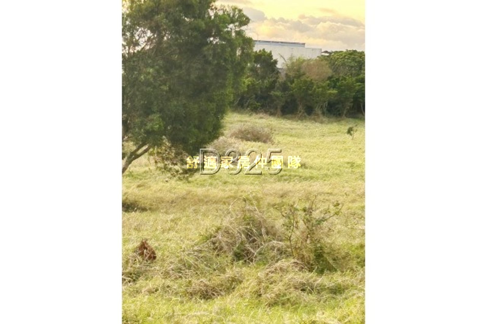 恆春鎮頂水泉段便宜農地D