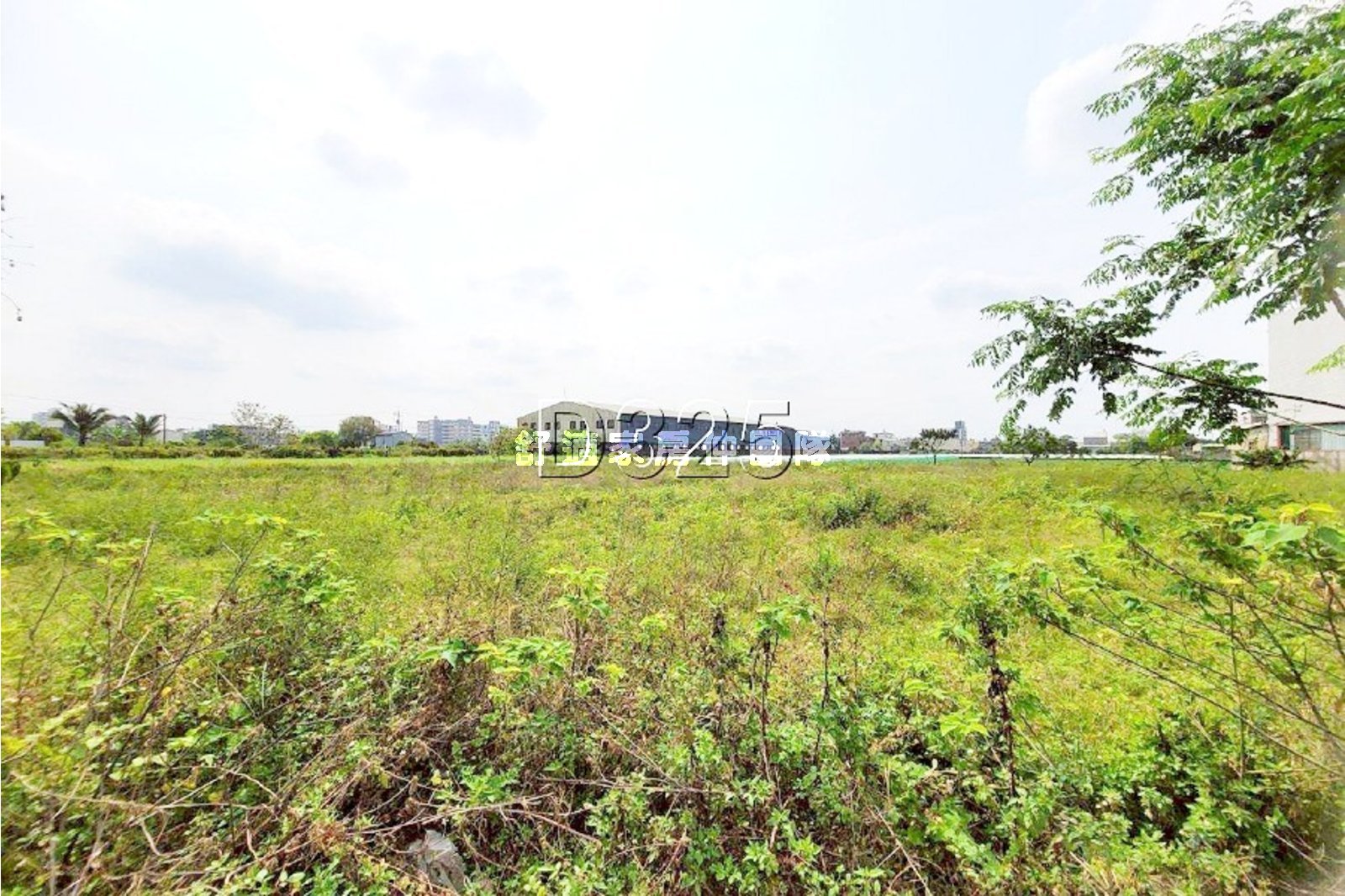 新市大社超值美農地A