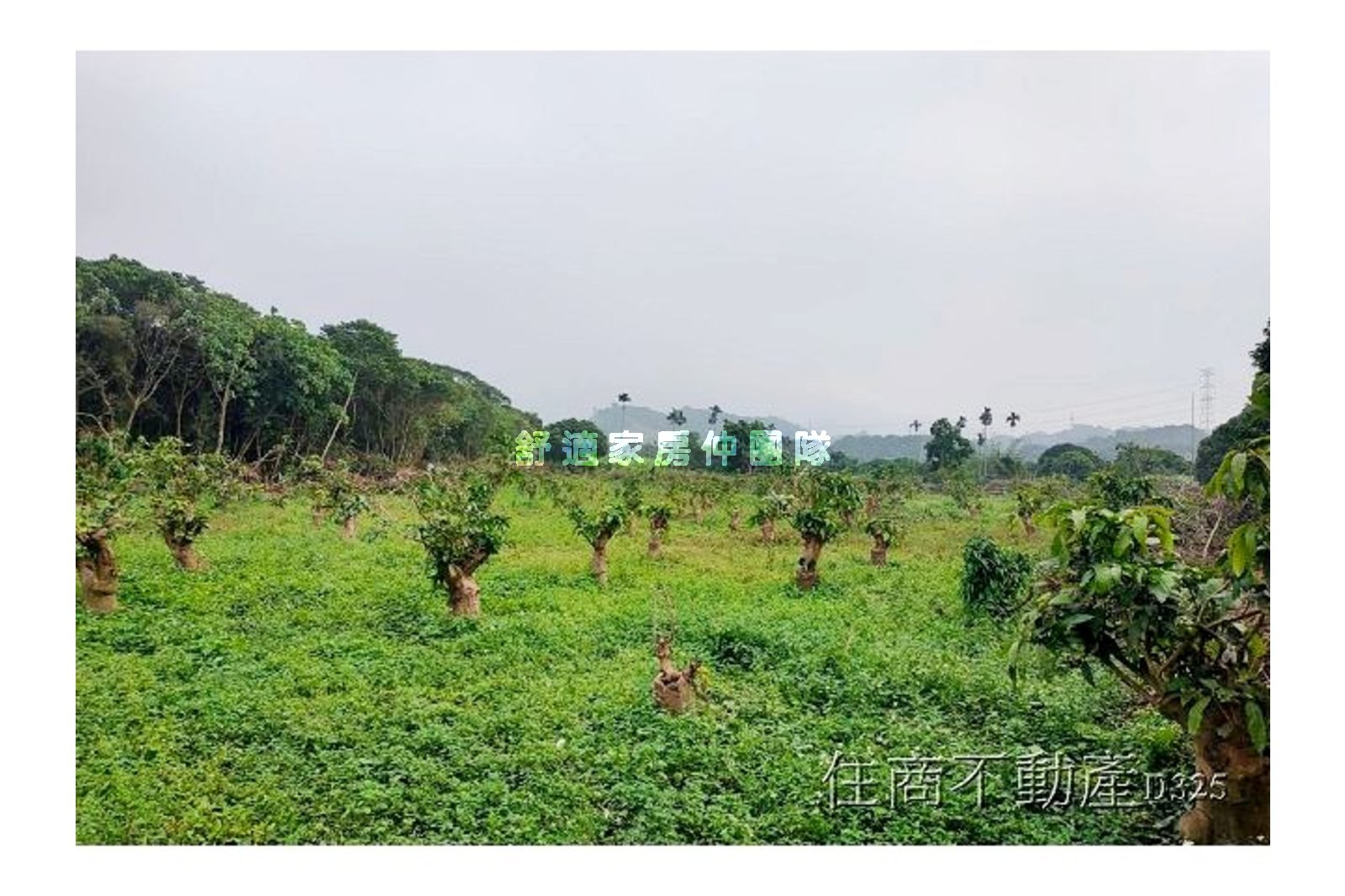 白河交流道關子嶺增值農地