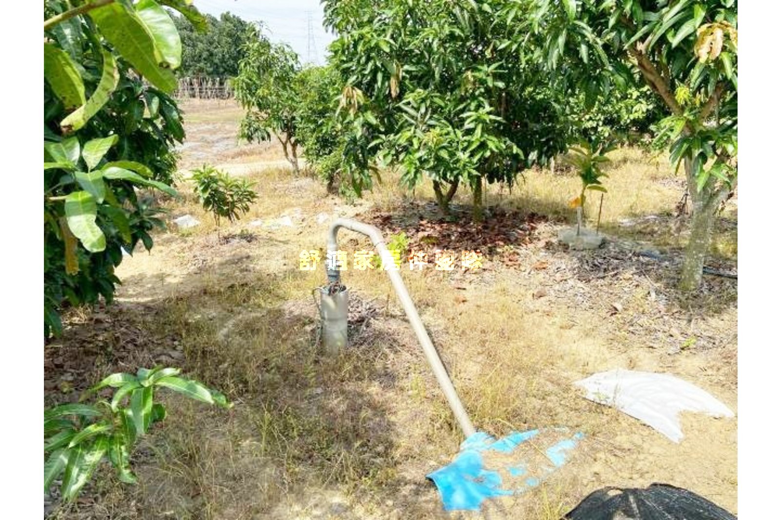 官田區社子段果園6.4分5m路