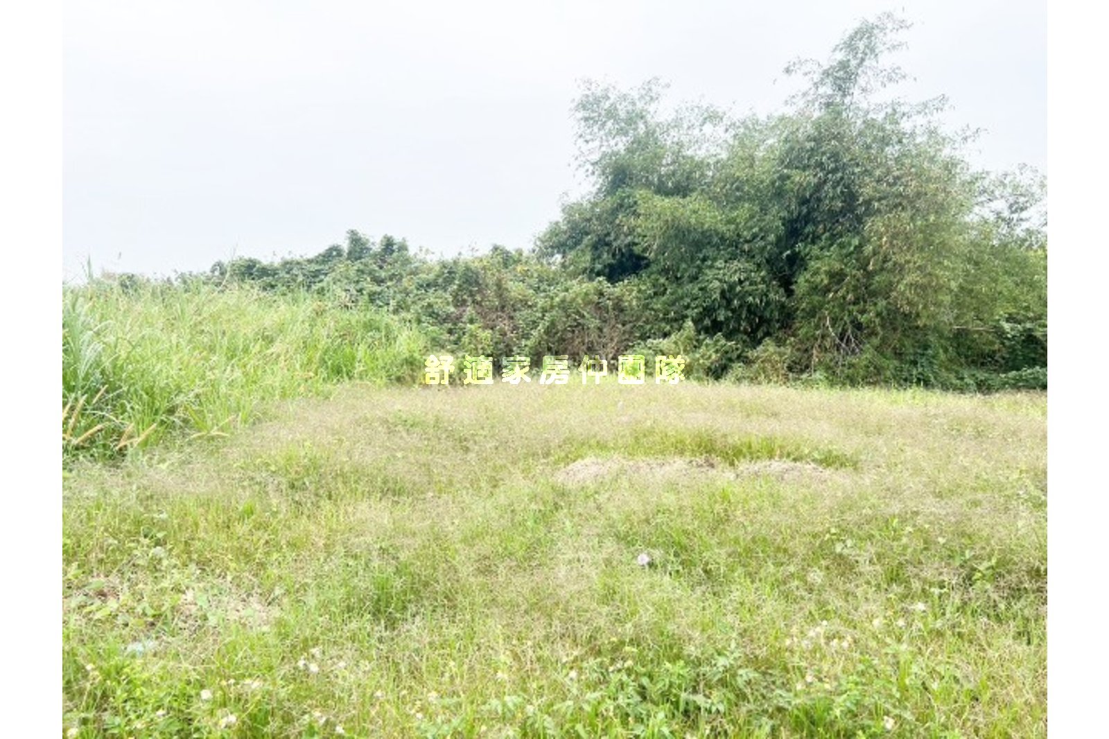 歸仁刣豬厝農地