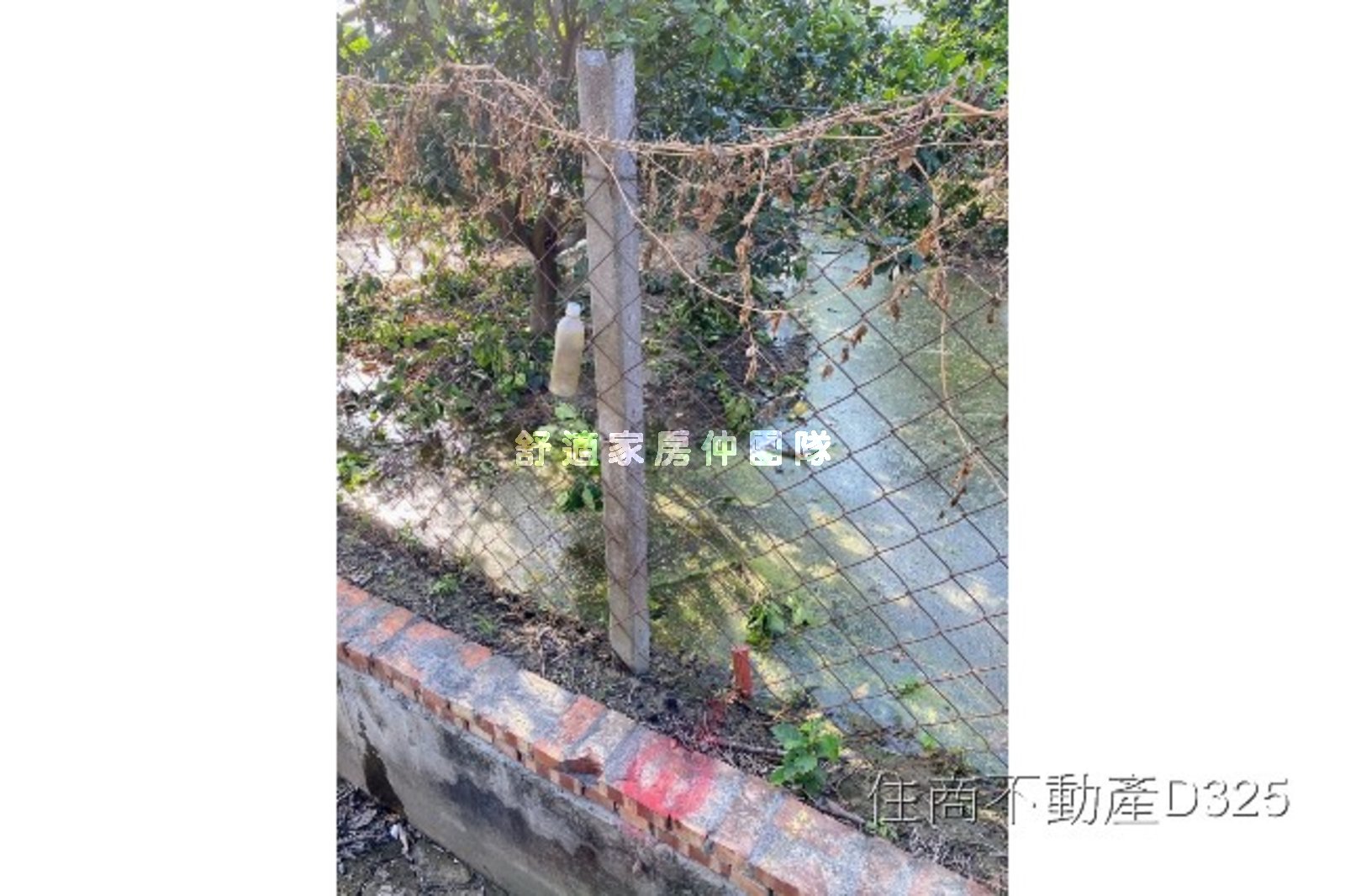 麻豆新樓醫院都內農地