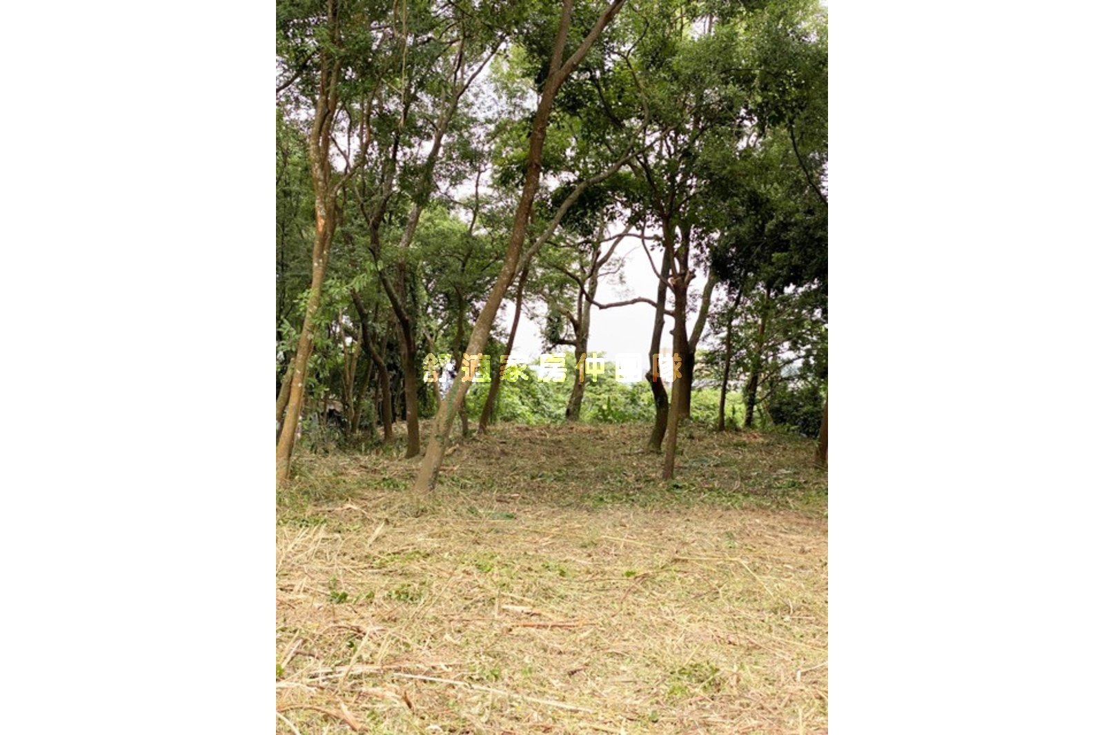 景大溫泉山莊.觀(專三)用地Ⅱ