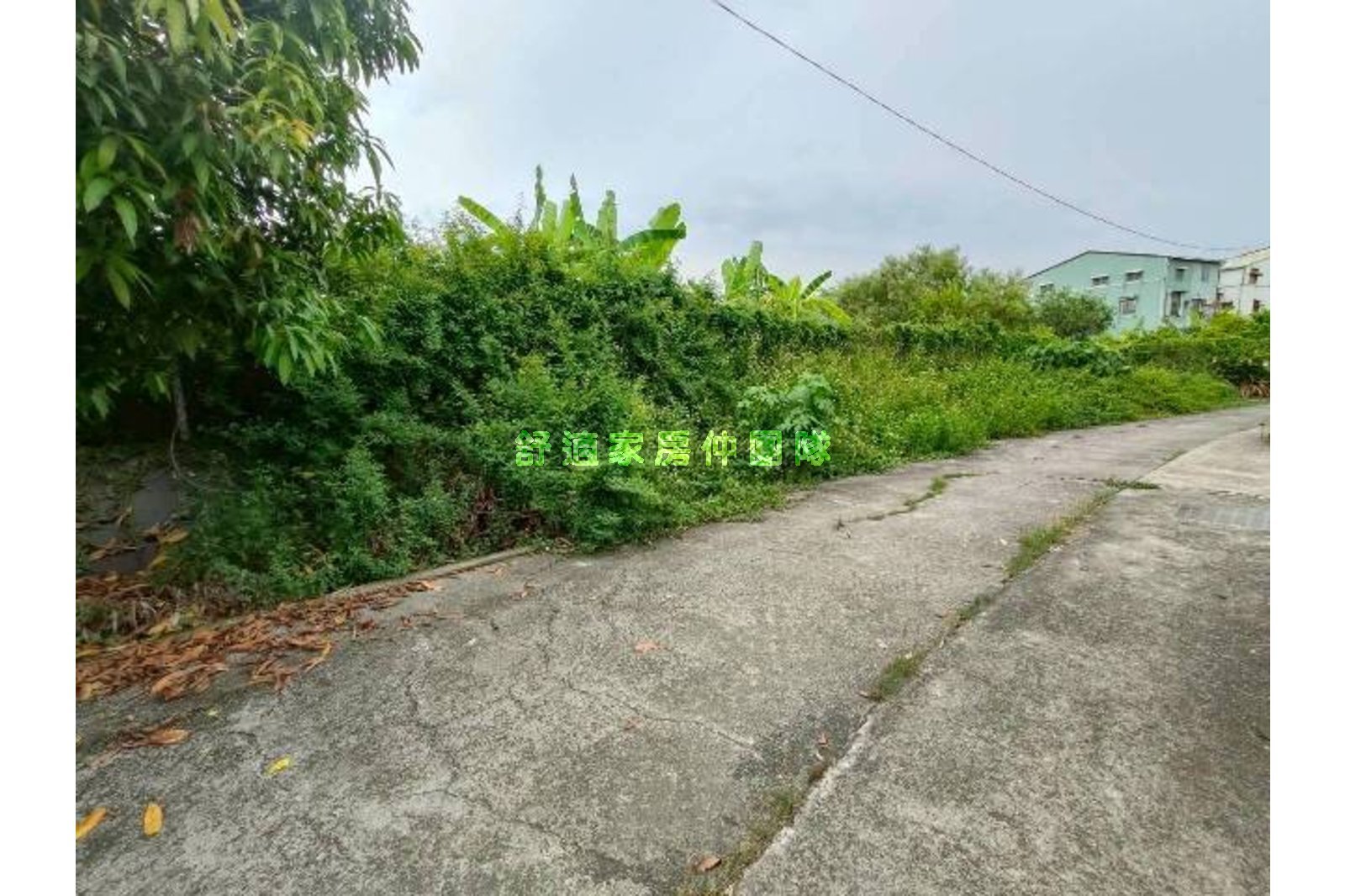 歸仁臨12米路大面寬都農