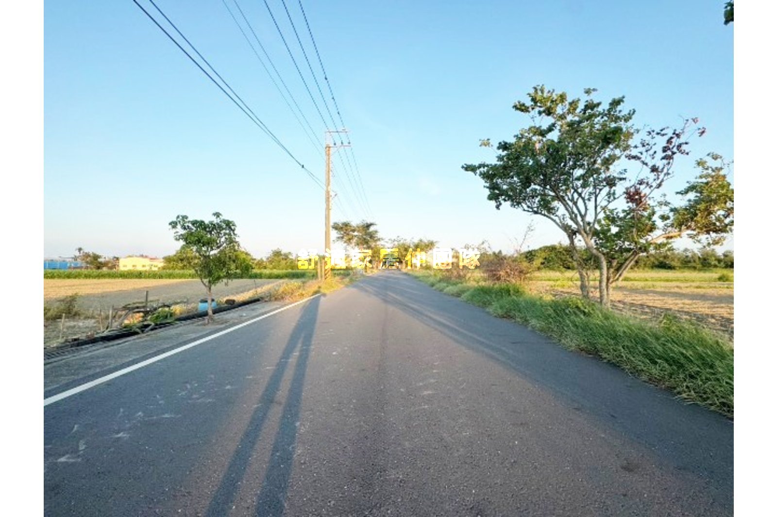 將軍角帶圍方正美農地