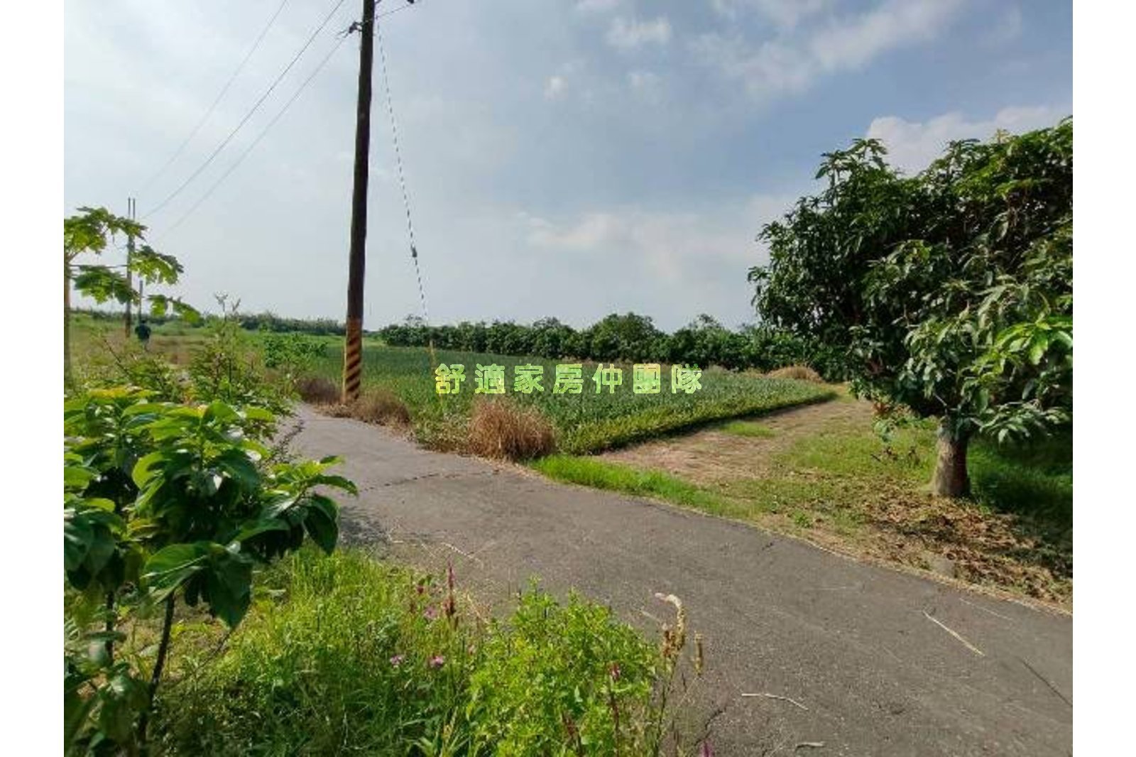 沙崙生態科學園區.增值一般農