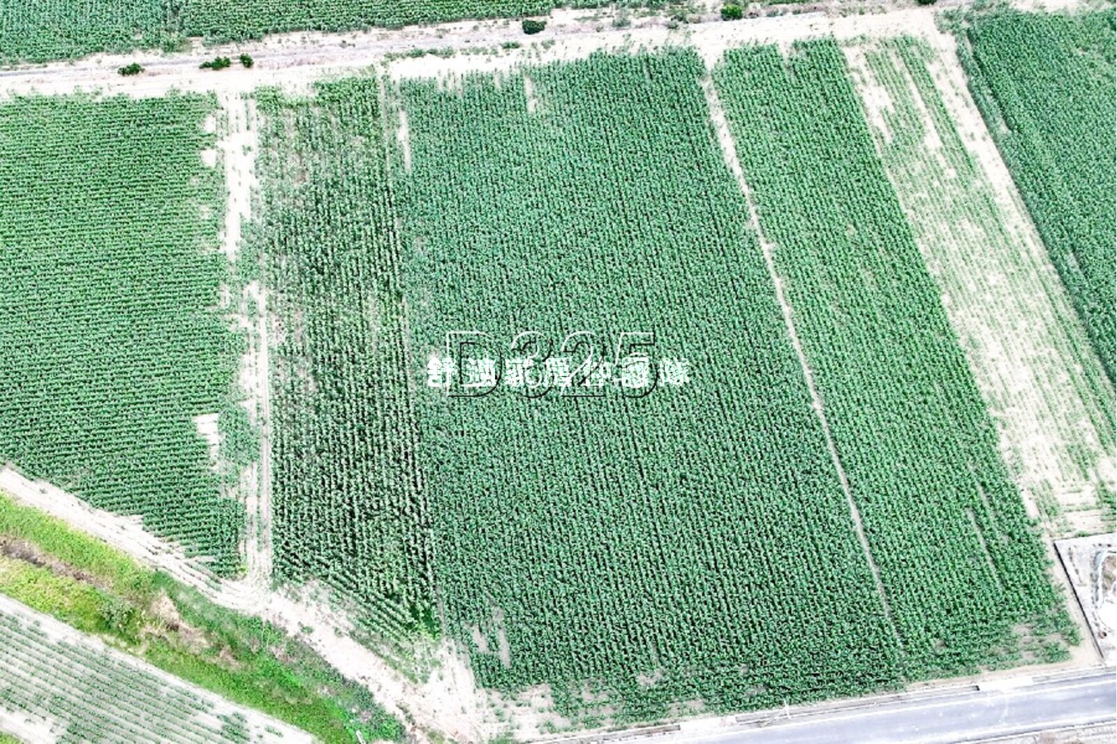 鹽水525坪可農保便宜農地