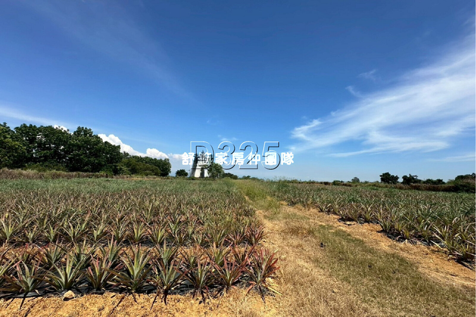 大樹行政中心旁臨路大面寬農地