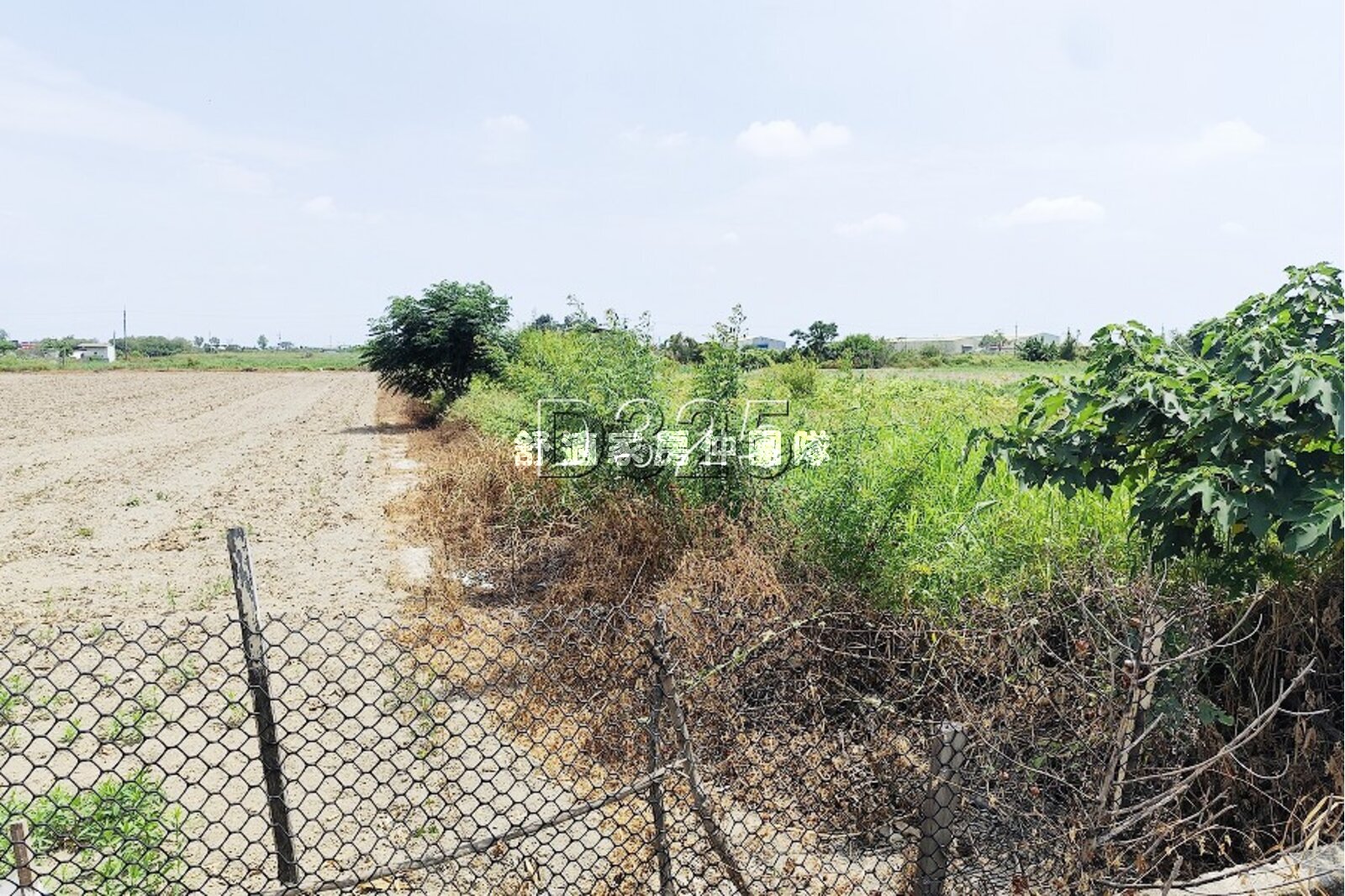 新營太子宮便宜農地