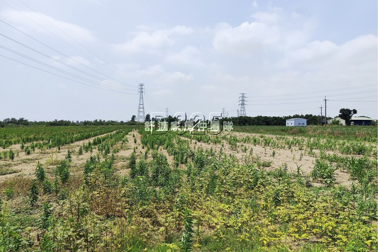 新營後鎮802農地