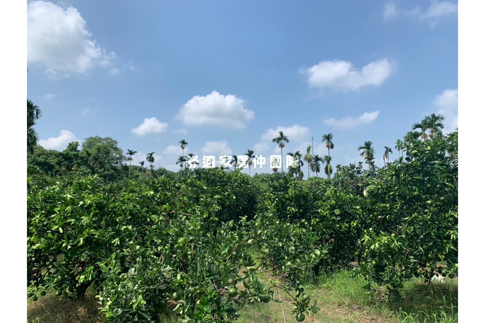 白河白水溪段地勢平坦優質農地