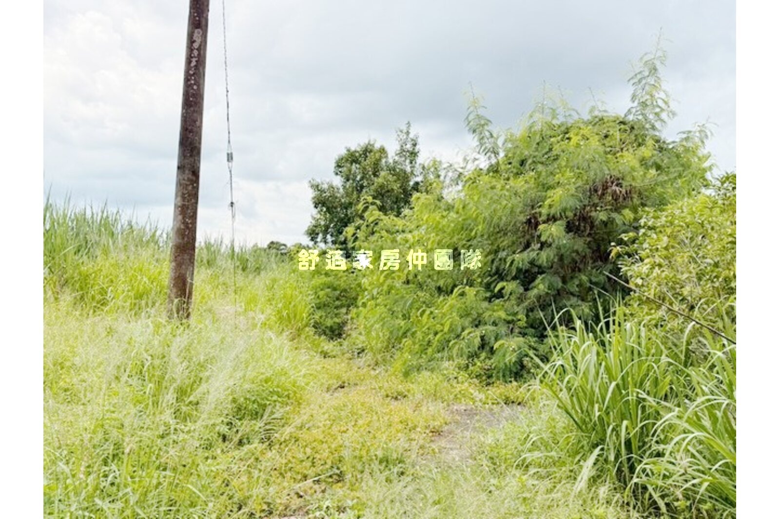 玉井走馬瀨臨20米路農地