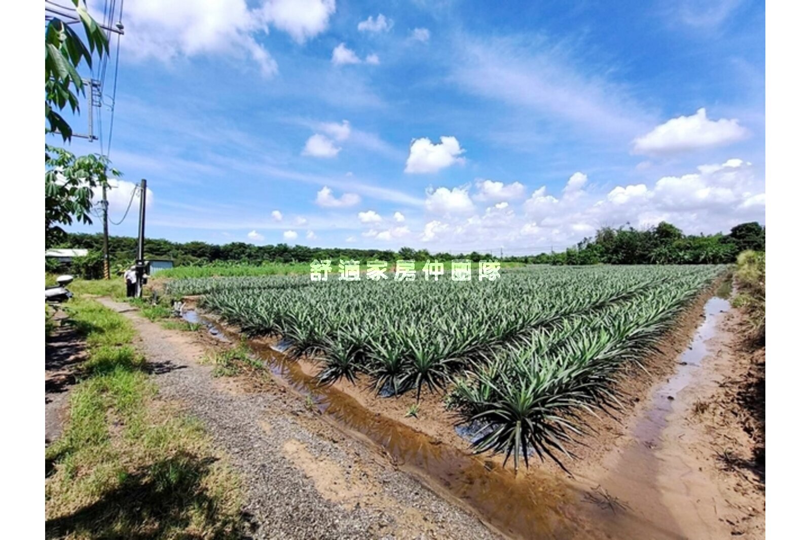近歸仁高鐵站增值方正農地