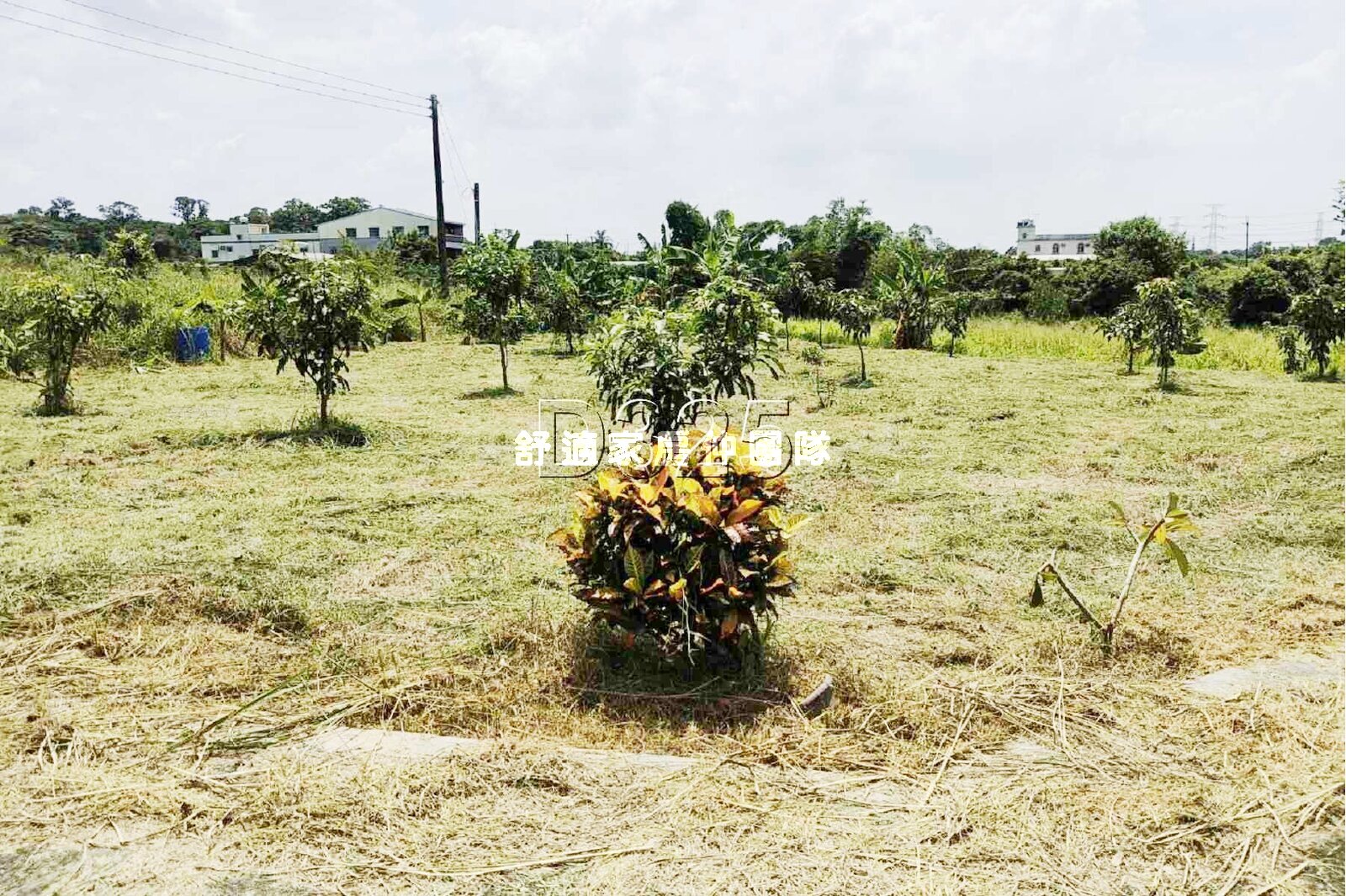 大內119線道旁有自來水電農地