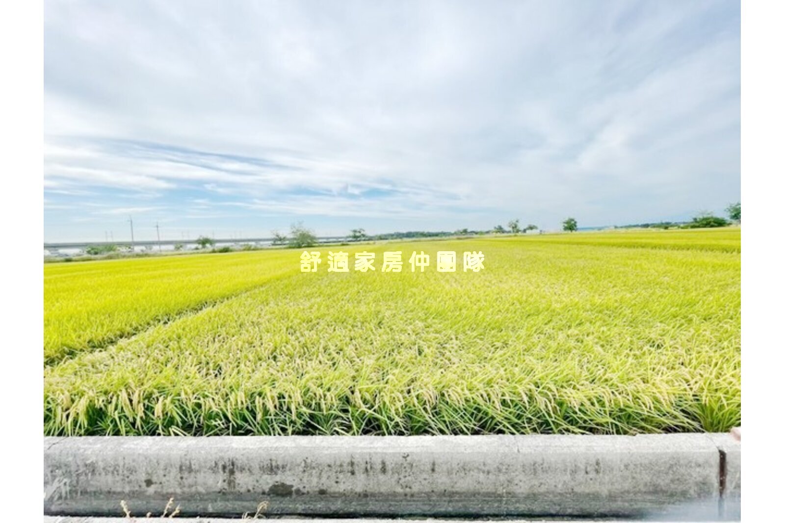 六甲水漆林749方正美農地